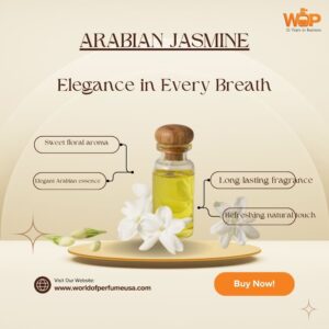 ARABIAN JASMINE